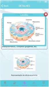 lookbio51